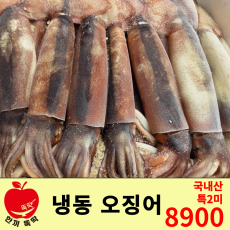 냉동 오징어 / 국내산 특2미
