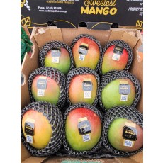 수입애플망고⚡2입/1팩⚡(즉시수령)