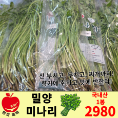 밀양 미나리 / 국내산 1봉