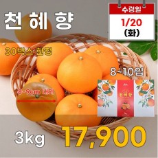 천혜향 3kg