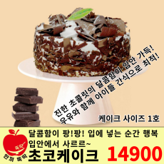빵터지는 집 초코케이크 1호