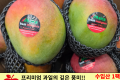 애플 망고 / 수입산 왕특 1팩 (2개)
