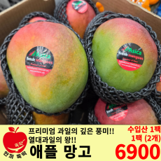 애플 망고 / 수입산 왕특 1팩 (2개)