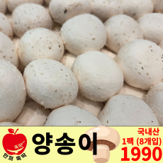 양송이 / 국내산 1팩 8개