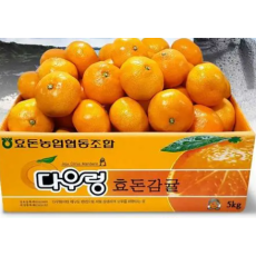 효돈감귤(2L)5kg/1박(즉시수령)
