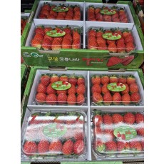 설향딸기 500g/1팩(즉시수령)
