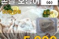 냉동 손질오징어 2마리
