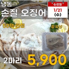 냉동 손질오징어 2마리