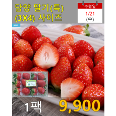 담양 딸기(특) 1팩