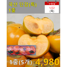 국산 단감(특) 1줄