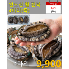 완도산 활전복 4마리
