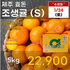 제주 효돈 조생귤(S) 5kg