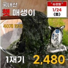 국내산 햇 매생이