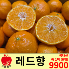 레드향 특 / 국내산 특 1팩 (6개)