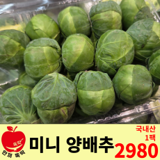 미니양배추 / 국내산 1팩 (500g)