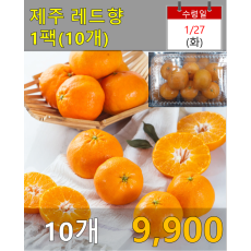 제주 레드향 1팩(10개)