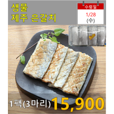 생물 제주 은갈치 1팩(3마리)