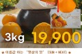 써니트 한라봉 3kg