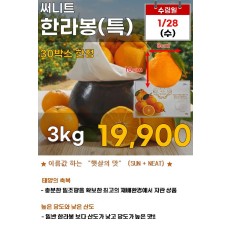 써니트 한라봉 3kg