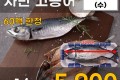 국내산 자반고등어 1손