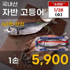국내산 자반고등어 1손