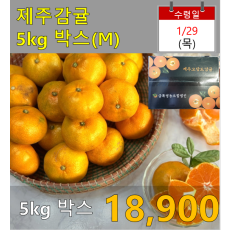 제주감귤 5kg 박스 (M사이즈)
