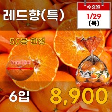 레드향 6입