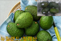 아보카도 1팩(4개)