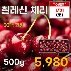 칠레산 체리 500g
