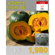 뉴질랜드 단호박 1통