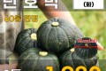뉴질랜드 단호박 1통
