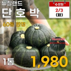 뉴질랜드 단호박 1통