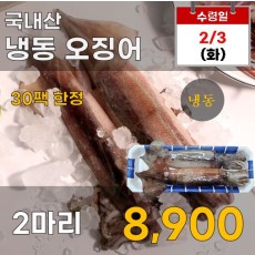 국내산 냉동 오징어 2마리