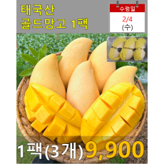 태국산 골드망고 1팩(3개)