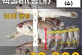 추자도 백굴비 10마리