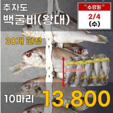 추자도 백굴비 10마리