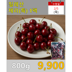 칠레산 체리(특) 800g