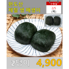 완도산 제철 생 매생이 2덩이