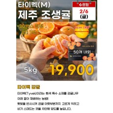 타이벡 제주 조생귤(M) 5kg