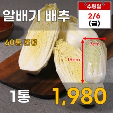 알배기 배추 1통