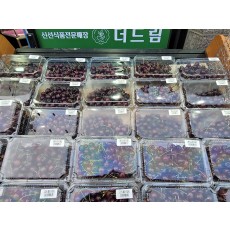 고당도 체리 800g/1팩