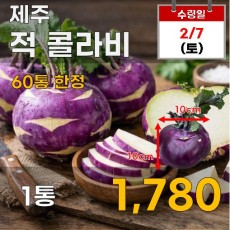 제주 적콜라비 1통