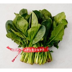 🥬시금치 1단