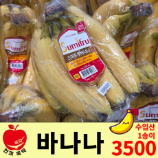 바나나 / 수입산 1송이