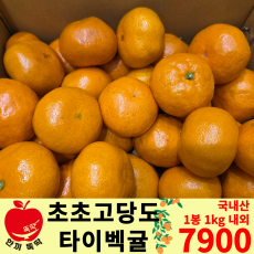초고당도 타이벡귤 1봉(1kg 내외)