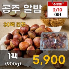 공주 알밤 900g