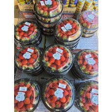 ♡금귀봉 왕딸기 1다라+1다라♡(당일수령 소진시까지)