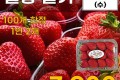 설향 딸기(특) 500g