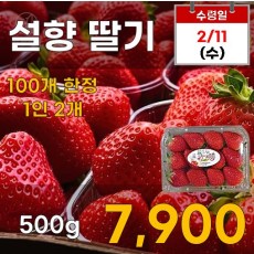 설향 딸기(특) 500g