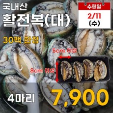 국내산 활전복 4마리